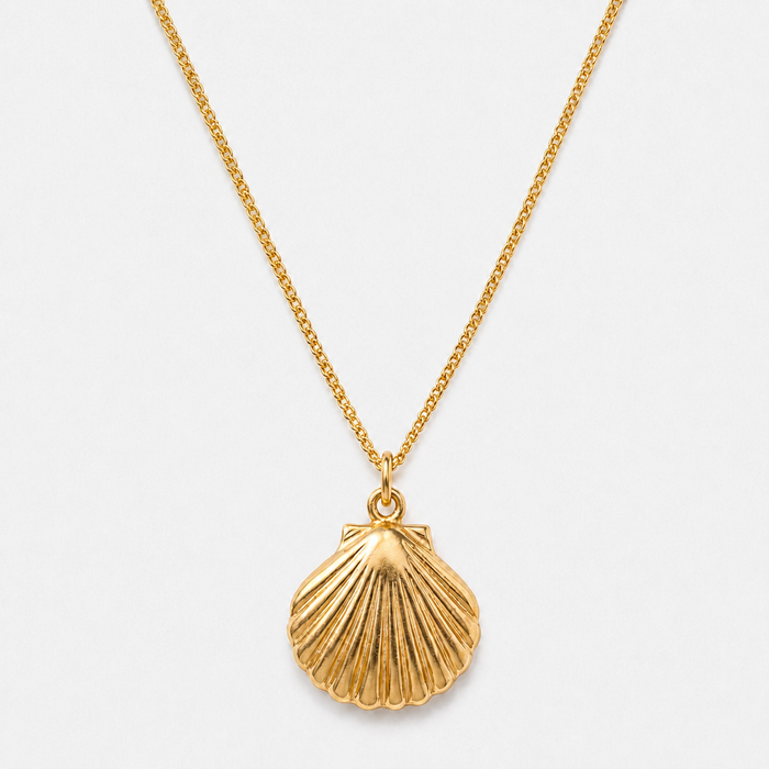 Women's Shell Pendant Necklace with Ribbed Detail